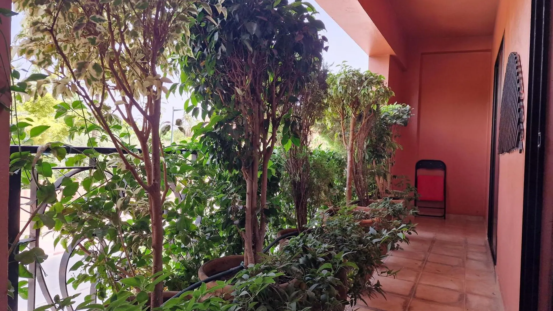 Deluxe Apartment In The Center Of City Marrakesh