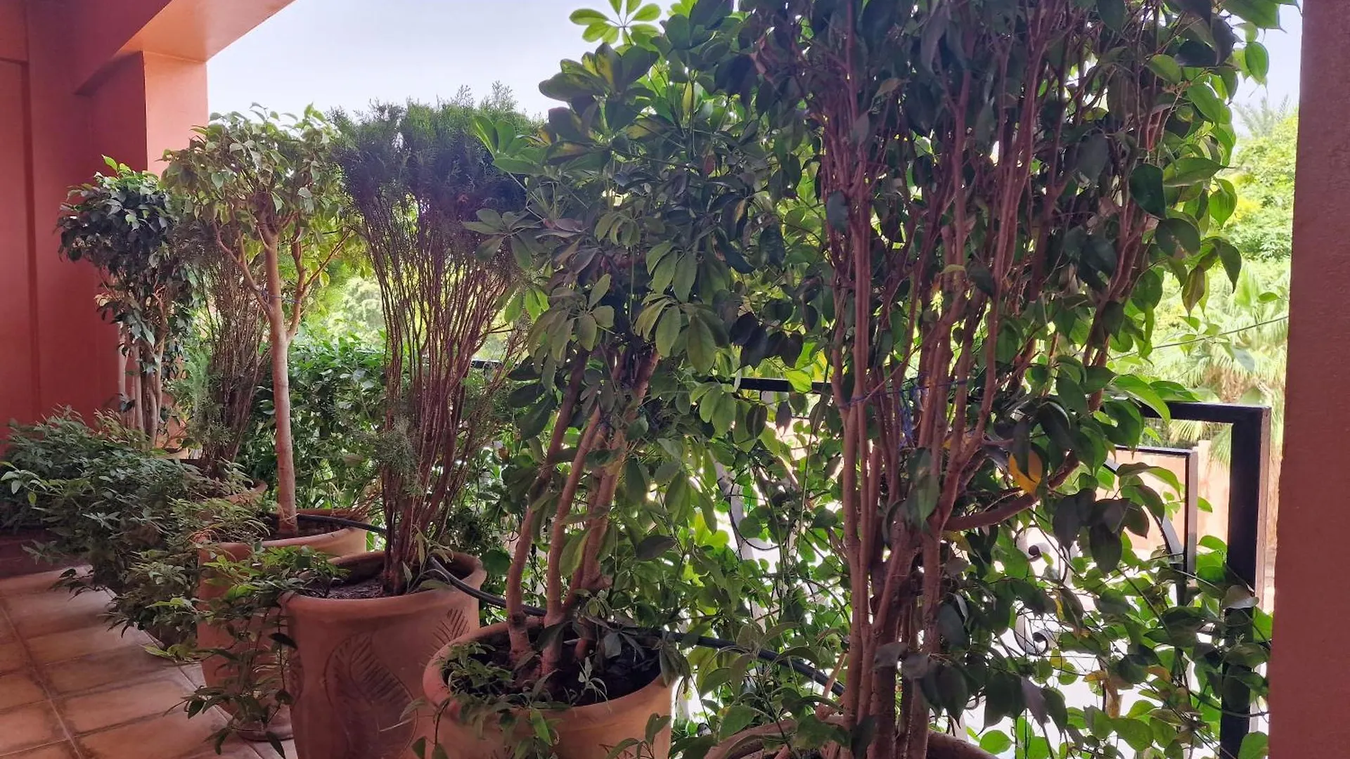 Deluxe Apartment In The Center Of City Marrakesh Morocco
