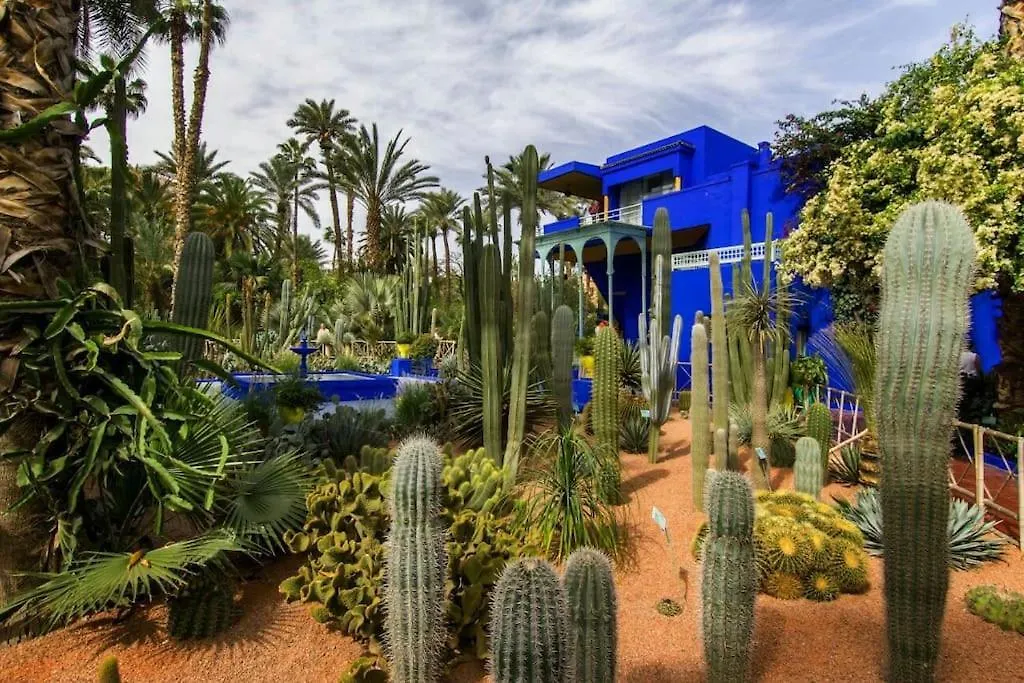 Deluxe Apartment In The Center Of City Marrakesh